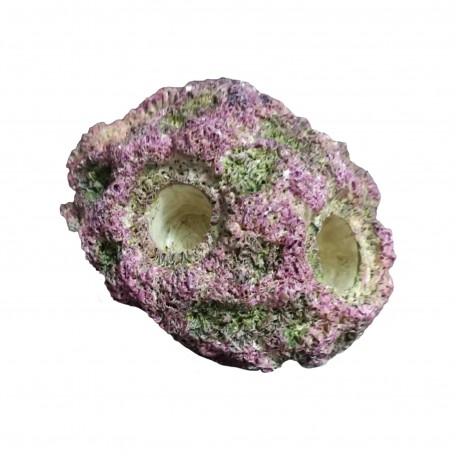 CORAL PLUG AQUAOCEAN