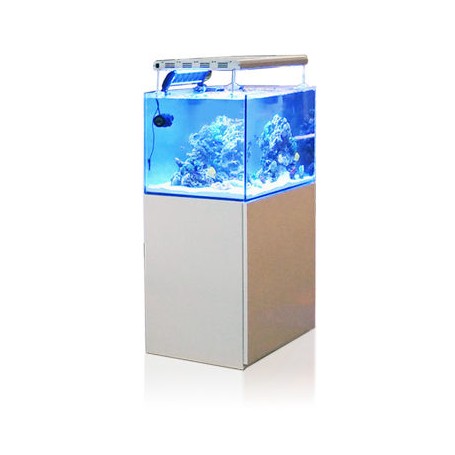 MARINE GRAN CUBIC EXPERIENCE 62