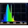 T5 Gran coral Light Purple 54W