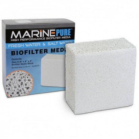 MARINE PURE BLOQUE 20 X 20 X 10 CM