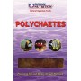 OCEAN NUTRITION POLYCHAETES MONOTRAY 100 GR