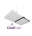 PHILIPS CORAL CARE LED GEN2