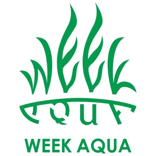 WEEK AQUA